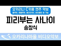 피리부는사나이 | 송창식 : 오카리나마을 비디오악보