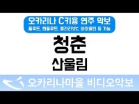 청춘 | 산울림 : 오카리나마을 비디오악보