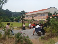 트리플래닛과 함께한 당산초등학교 생태숲 교실 : 트리플래닛 환경교육