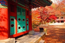 서울시 50플러스포털 | [라이프몽땅]역사의 고장, 공주의 힐링 테마길