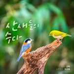 산새들의 수다 - 이은혜 ♫ : 오카리나 음반