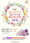 하늘소리오카리나 벨라 트리플 40% 한정 할인 : 오카리나마을