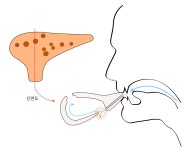쉬는 시간 1 : 오카리나의 구조와 발성 원리 : 오카리나 기초강좌