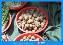 천연 인슐린 / 혈당강하 돼지감자 효능 : 식품영양정보