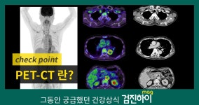 서초건강검진 / 전신암검사 PET CT(펫시티)는 한신메디피아 : 제휴병원소식