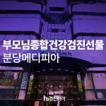 부모님 종합건강검진 선물, 분당 메디피아에서 효도하고 검진하이에서 혜택받고 : 제휴병원소식