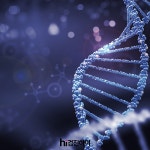 DNA 유전자 검사 송파구 건강검진센터 다온 헬스케어 : 제휴병원소식 DNA 유전자 검사 송파구 건강검진센터 다온 헬스케어  : 제휴병원소식