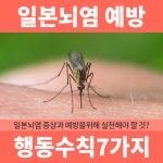 모기퇴치 '일본뇌염' 예방을 위한 행동수칙 7가지 : 건강검진정보