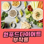 원 푸드 다이어트 부작용 살펴보면 : 건강검진정보