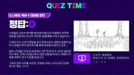 세상에 없던 환경교육, 에이전트 오브 트리플래닛 : 숲과 나무에 대한 이야기 - 매거진