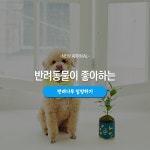 반려동물과 반려식물의 행복한 동거를 위하여! : 숲과 나무에 대한 이야기 - 매거진 반려동물과 반려식물의  행복한 동거를 위하여! : 숲과 나무에... 