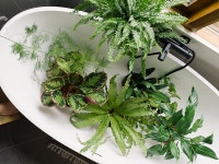 식물도 목욕을 좋아해요! 저면관수 물주기법 배워보기 : 숲과 나무에 대한 이야기 - 매거진