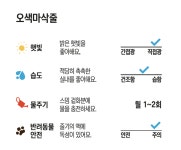 오색빛깔 기쁨을 드려요, 즐거운 시골집에서 오색마삭줄 키우기 : 숲과 나무에 대한 이야기 - 매거진
