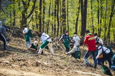 점점 뜨거워지는 지구를 위해, 나무를 심는 사람들 : 숲과 나무에 대한 이야기 - 매거진