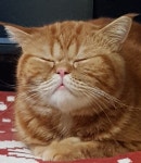 금보야 사랑해 : 페스티벌 라이프 방명록 금보야 사랑해  : 페스티벌 라이프 방명록