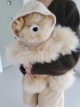 [그레이맨션]Sustainable Alpaca Bear from Peru Large size 알파카 베어 라지 [W CONCEPT]