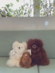 [그레이맨션]Sustainable Alpaca Bear from Peru Medium sixe 알파카 베어 미디움 [W CONCEPT]
