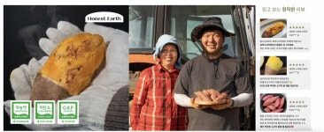 [주식회사 더루트컴퍼니] 강릉 감자유원지 F&B 크루 모집 - 사람인