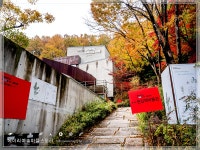 헤이리예술마을과 파주출판도시의 관계 : 헤이리예술마을