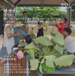 파주로컬푸드마켓 햇빛장이 열립니다(8월 5일 ~ 6일) : 헤이리예술마을