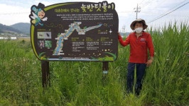 [기고] 여름밤에 꽁무니에서 불을 깜빡이며 날아다니는 벌레는 무엇입니까? : 환경운동연합