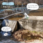 [러미툰_시즌2]서울시 정릉천에 위치한 정릉11보 : 환경운동연합