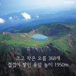[카드영상] 제주, 오름의 가을억새가 눈부십니다 : 환경운동연합