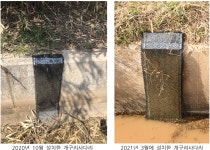 [보도자료] 강원도 고성군 송정리 농수로에 2021년 첫 개구리사다리 설치 : 환경운동연합