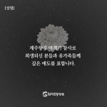 [성명] 제주항공 여객기 참사로 희생되신 분들과 유가족들께 깊은 애도를 표합니다. : 환경운동연합