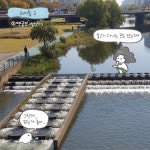 [러미툰_시즌2]탄천에 있는 백궁보 : 환경운동연합