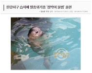 [ 처음 만난 한강 이야기 2 ] 한강에서 돌고래를 만날 수 있다면? : 환경운동연합