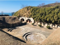 [홍선기의 섬이야기]부산의 진짜 동백섬 가덕도, 공항으로 사라진다 : 환경운동연합