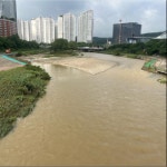 [보도자료] 홍수가 지나간 뒤, 탄천 보 철거 현장의 놀라운 변신 : 환경운동연합