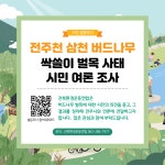 [현장소식] 누가 전주천의 아름드리 버드나무를 베었나? : 환경운동연합