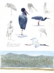 새가 있는 풍경으로 당신을 초대합니다. : 환경운동연합
