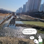 [러미툰_시즌2]백궁보 현장특집1 : 환경운동연합