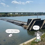 [러미툰_시즌2]대전 갑천에 위치한 갑천4보 : 환경운동연합