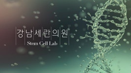 네이버 인플루언서 [네이버 인플루언서] 무릎 어깨 통증, 줄기세포 치료하세요