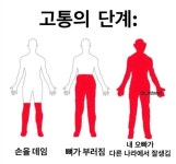인간이 고통을 느끼는 단계래 - 인스티즈(instiz) 연예 카테고리 인간이 고통을 느끼는 단계래