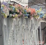 [마플] 김건우 외국팬들 웨이크원 앞으로 꽃보냄!! - 인스티즈(instiz) 연예 카테고리 [마플] 김건우 외국팬들 웨이크원 앞으로 꽃보냄!!