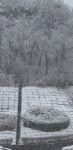딴말이지만 오늘 경북에 눈 이만큼 옴 - 인스티즈(instiz) 야구 카테고리 딴말이지만 오늘 경북에 눈 이만큼 옴