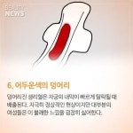 생리 색깔로 알아보는 건강 상태 8가지 - 인스티즈(instiz) 이슈 카테고리 생리 색깔로 알아보는 건강 상태 8가지