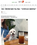 식당·카페 애견 동반 가능 첫날…오히려 갈 곳 줄었어요 - 인스티즈(instiz) 이슈 카테고리 식당·카페 애견 동반 가능 첫날…