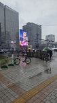 광화문 광장 불편해서 건너편으로 나왔는데 - 인스티즈(instiz) 연예 카테고리 광화문 광장 불편해서 건너편으로 나왔는데