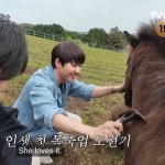 콩콩팜팜 도경수 한강우같아 - 인스티즈(instiz) 연예 카테고리 콩콩팜팜 도경수 한강우같아