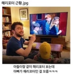 해리포터 근황.jpg - 인스티즈(instiz) 드라마/영화/배우 카테고리 해리포터 근황.jpg