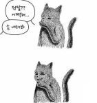 오세훈 어떡해... 속보뜬거 진짜야? - 인스티즈(instiz) 연예 카테고리 오세훈 어떡해... 속보뜬거 진짜야?