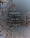 사랑에 관련된 시 - 인스티즈(instiz) 이슈 카테고리 사랑에 관련된 시