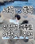 제주도 서쪽과 동쪽 여행지 추천 - 인스티즈(instiz) 이슈 카테고리 제주도 서쪽과 동쪽 여행지 추천