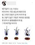 정수리에 돼지털(머리)나는이유 - 인스티즈(instiz) 이슈 카테고리 정수리에 돼지털(머리)나는이유